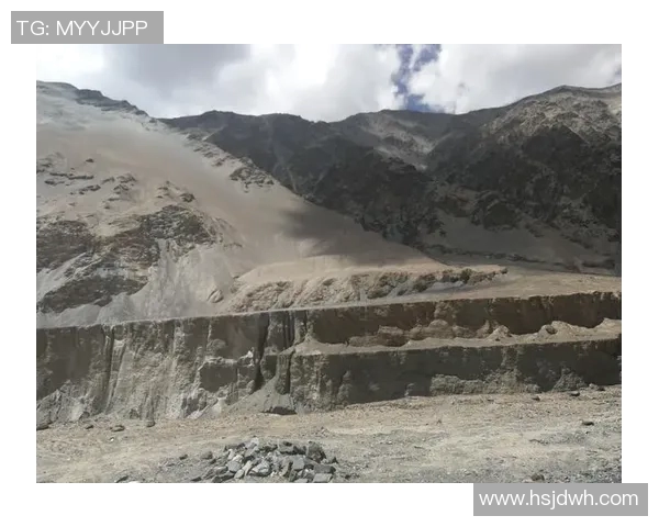 深度对话：陈芳在CSGO世界中的成长与挑战之路